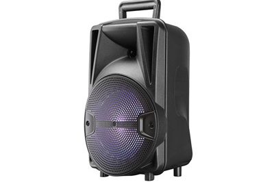 400Hot Sale 8 Inch Portable Big Power Active Trolley Speaker (2)