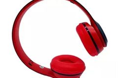 Foldable earphone (20)