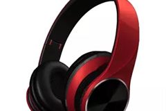 Foldable earphone (25)